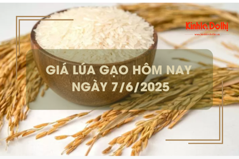 Giá lúa gạo hôm nay 7/6: gạo xuất khẩu giảm mạnh