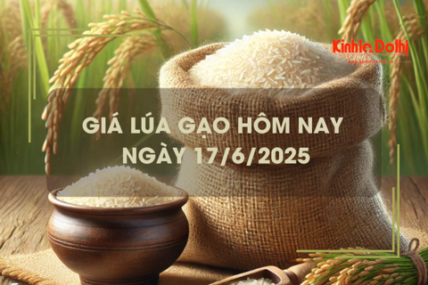 Giá lúa gạo hôm nay 17/6: giá gạo tăng nhẹ