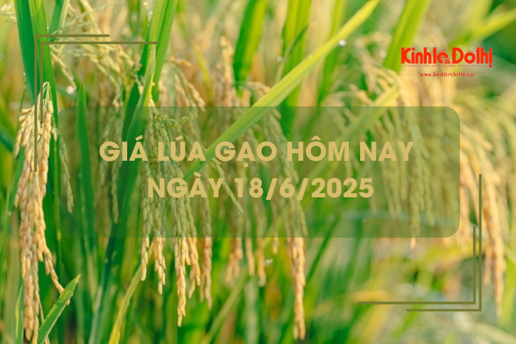Giá lúa gạo hôm nay 18/6: lúa tươi và gạo xuất khẩu giảm nhẹ