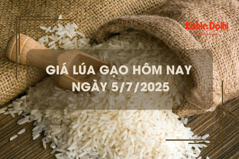 Giá lúa gạo hôm nay 5/7: giao dịch lúa khô chậm