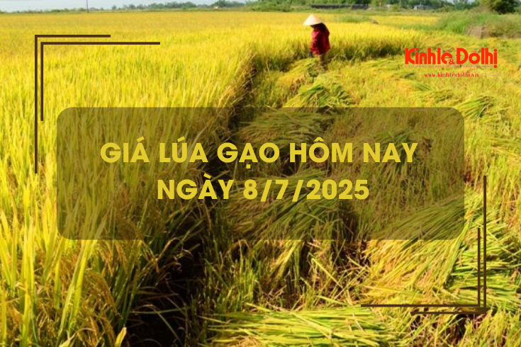 Giá lúa gạo hôm nay 8/7: giá lúa tăng, giá gạo giảm