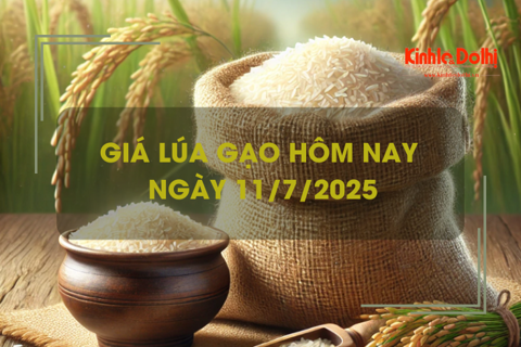 Giá lúa gạo hôm nay 11/7: lúa tươi tiếp đà tăng