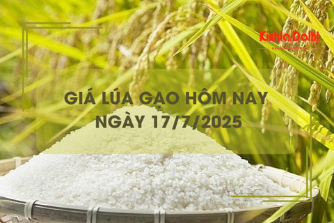 Giá lúa gạo hôm nay 17/7: giá gạo tăng nhẹ