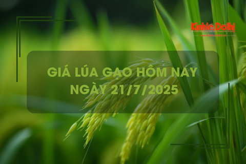 Giá lúa gạo hôm nay 21/7: giao dịch mua bán vắng