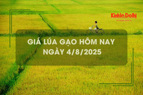 Giá lúa gạo hôm nay 4/8: giao dịch mua bán vắng, giá bình ổn