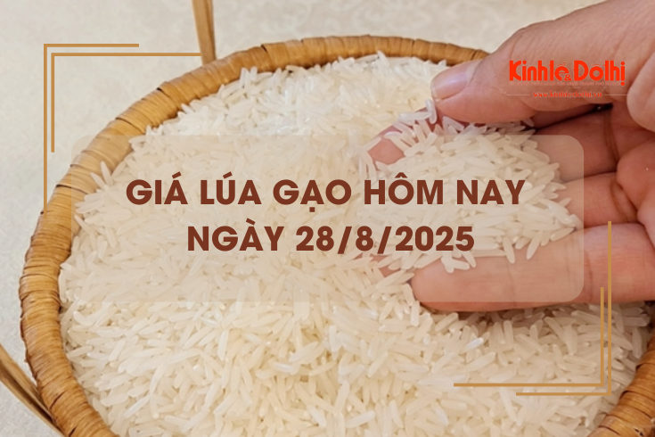 Giá lúa gạo hôm nay 28/8: giá gạo giảm nhẹ