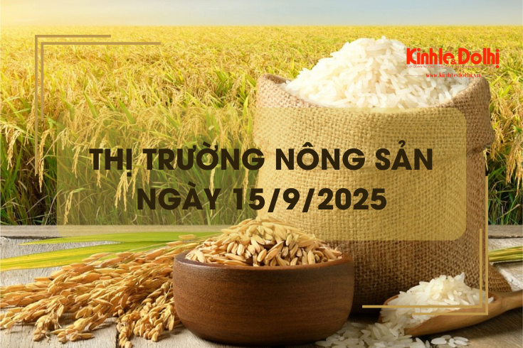 Thị trường nông sản ngày 15/9: lúa gạo vững giá