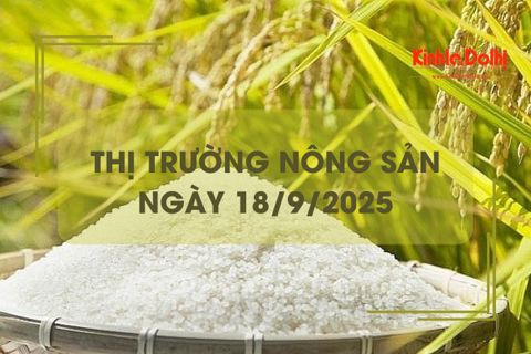 Thị trường nông sản ngày 18/9: giá gạo bật tăng