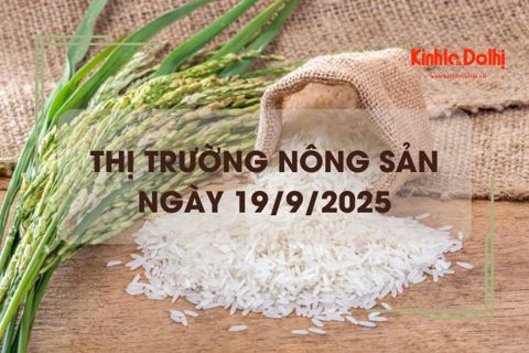 Thị trường nông sản ngày 19/9: giá gạo xuất khẩu giảm mạnh
