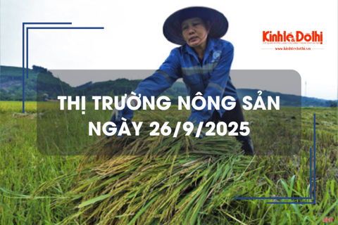 Thị trường nông sản 26/9: giao dịch mua bán trầm lắng, giá bình ổn