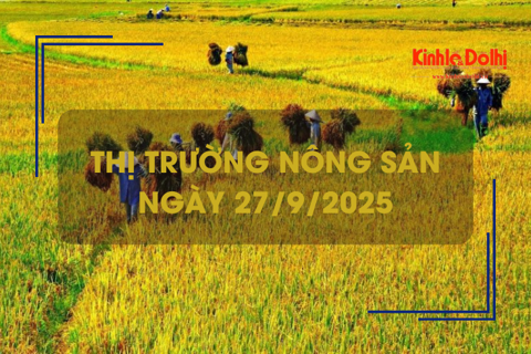 Thị trường nông sản 27/9: Gạo đi ngang, lúa tươi chững giá