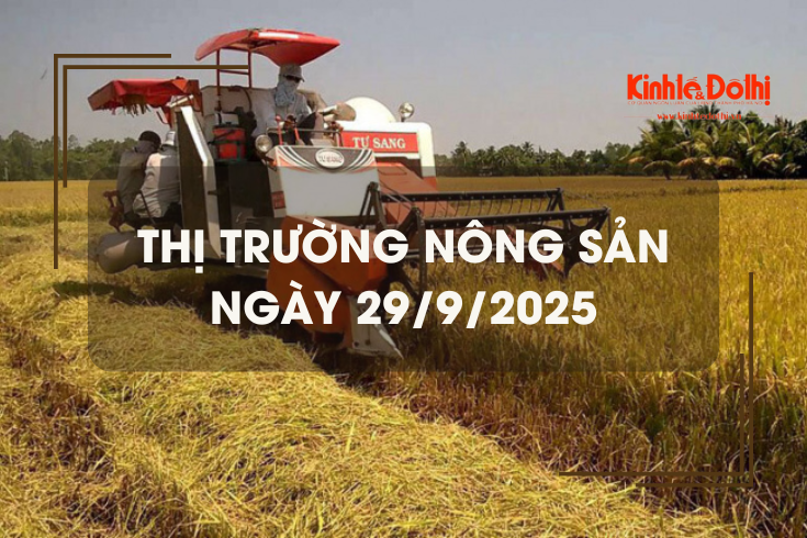 Thị trường nông sản ngày 29/9: giao dịch mua bán chậm