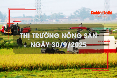 Thị trường nông sản ngày 30/9: lúa tươi chững giá
