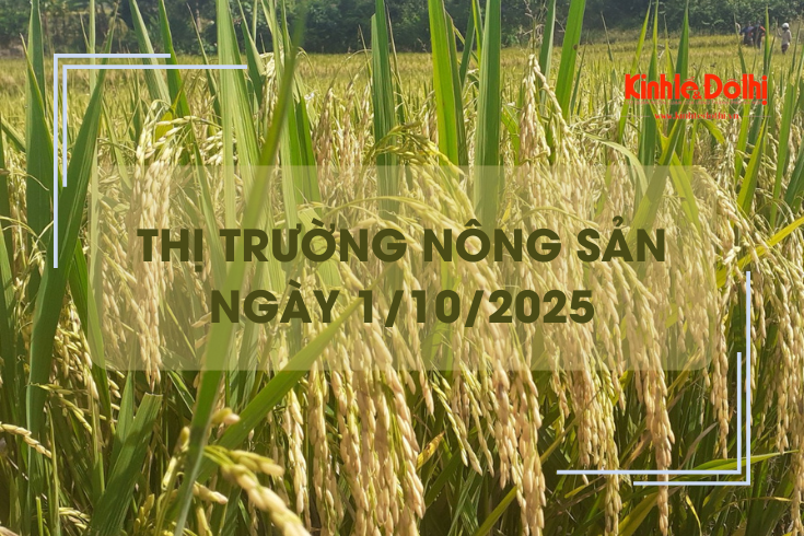 Thị trường nông sản ngày 1/10: lúa tươi bật tăng