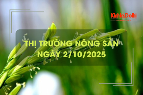 Thị trường nông sản ngày 2/10: gạo xuất khẩu giảm nhẹ