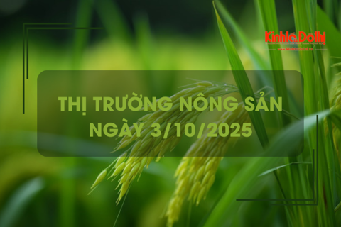 Thị trường nông sản ngày 3/10: giá gạo giảm nhẹ