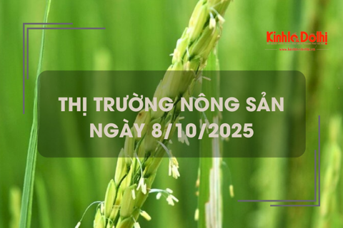 Thị trường nông sản ngày 8/10: giao dịch mua bán lúa mới trầm lắng, giá ít biến động