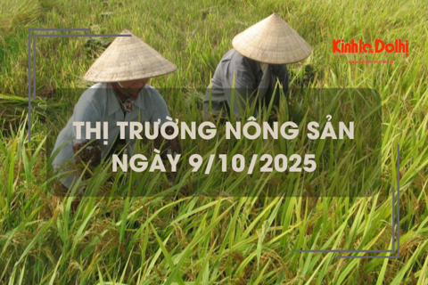 Thị trường nông sản ngày 9/10: giao dịch mua bán tiếp tục chậm