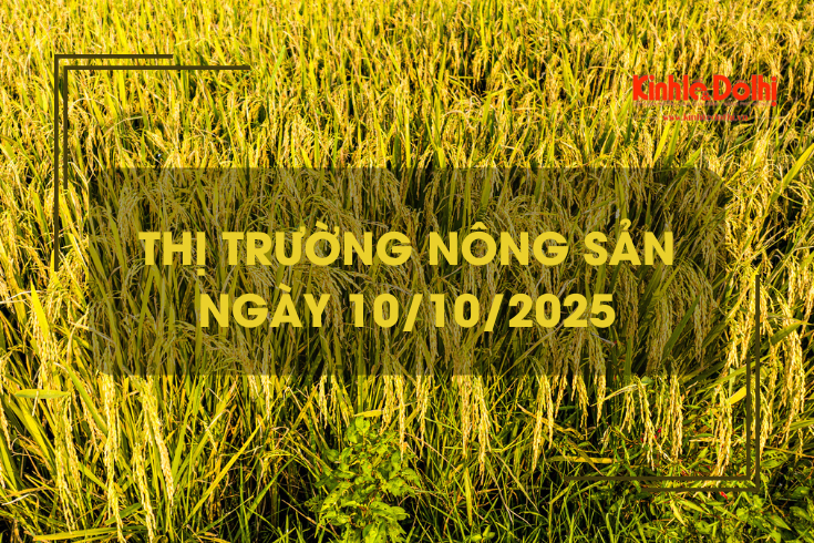 Thị trường nông sản ngày 10/10: giá gạo xuất khẩu tăng giảm trái chiều