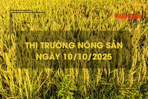 Thị trường nông sản ngày 10/10: giá gạo xuất khẩu tăng giảm trái chiều