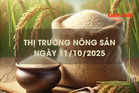 Thị trường nông sản ngày 11/10: gạo xuất khẩu tiếp tục giảm nhẹ