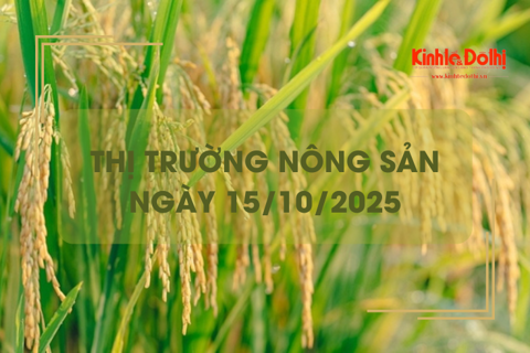 Thị trường nông sản ngày 15/10: giao dịch mua bán chậm, giá ít biến động