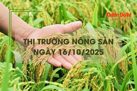 Thị trường nông sản ngày 16/10: giá gạo giảm nhẹ