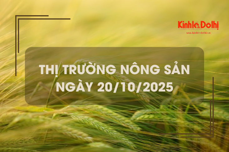 Thị trường nông sản ngày 20/10: giá gạo giảm nhẹ