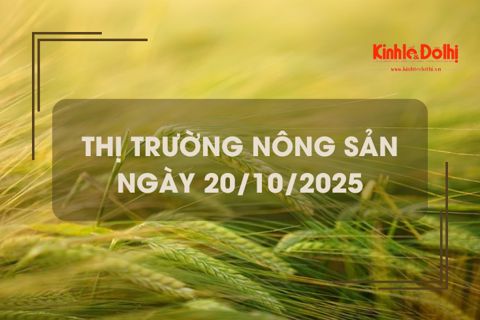 Thị trường nông sản ngày 20/10: giá gạo giảm nhẹ