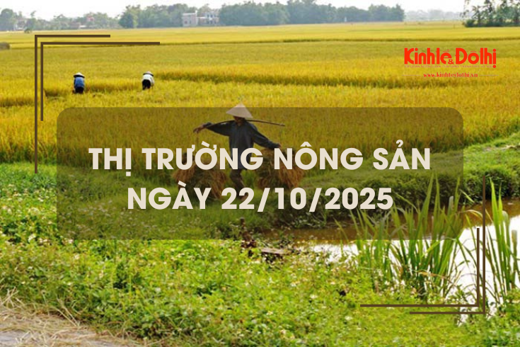Thị trường nông sản ngày 22/10: thị trường đi ngang