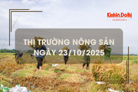 Thị trường nông sản ngày 23/10: gạo trong nước và xuất khẩu giảm nhẹ
