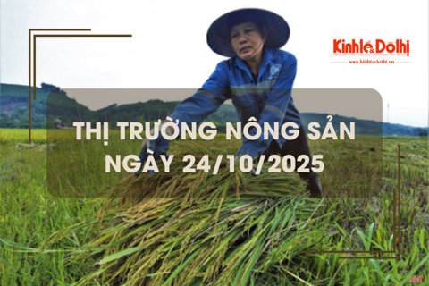 Thị trường nông sản ngày 24/10: giá lúa giảm mạnh