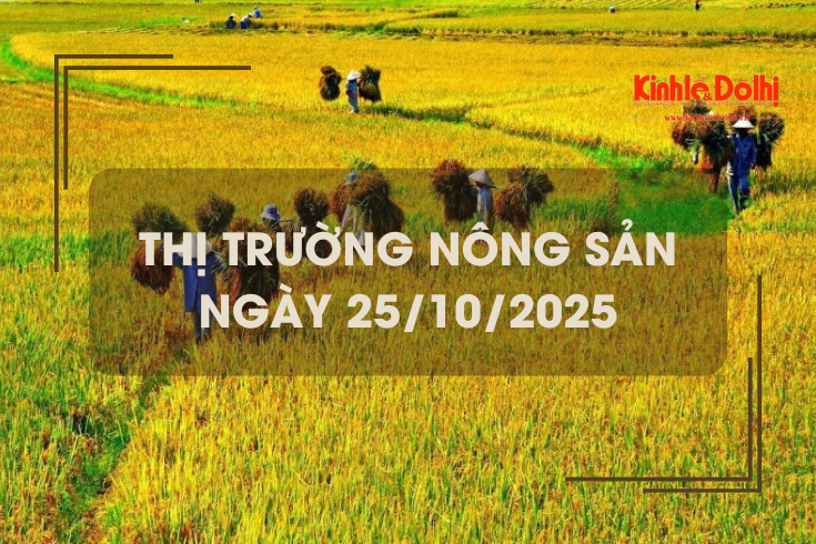 Thị trường nông sản ngày 24/10: lúa gạo chững giá