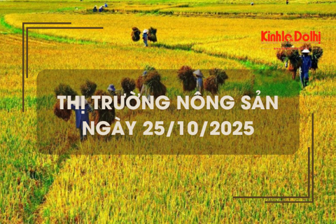 Thị trường nông sản ngày 24/10: lúa gạo chững giá