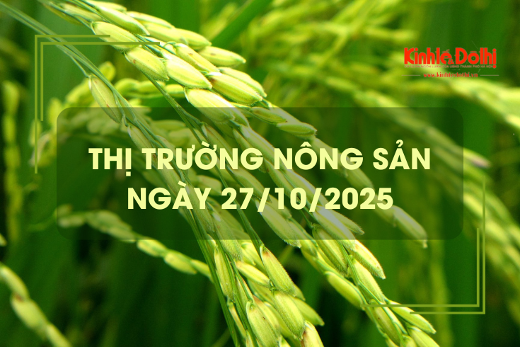 Thị trường nông sản ngày 27/10: giao dịch mua bán vắng
