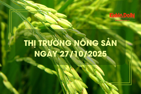 Thị trường nông sản ngày 27/10: giao dịch mua bán vắng