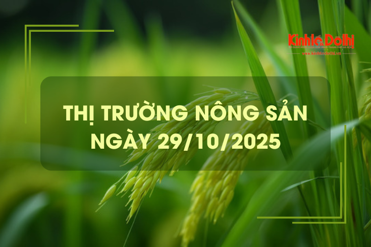 Thị trường nông sản ngày 29/10: gạo xuất khẩu tăng giảm trái chiều