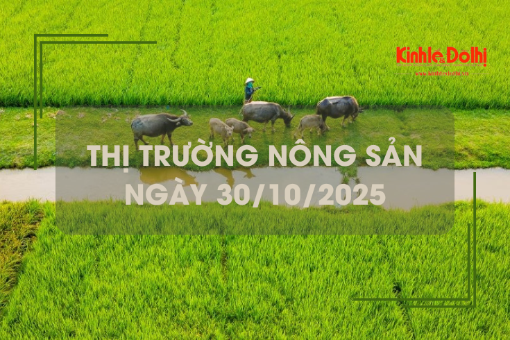 Thị trường nông sản ngày 30/10: gạo xuất khẩu tiếp tục biến động trái chiều