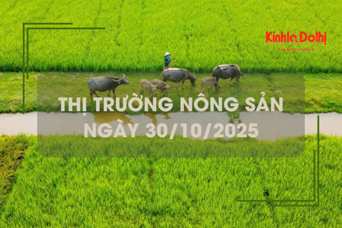 Thị trường nông sản ngày 30/10: gạo xuất khẩu tiếp tục biến động trái chiều