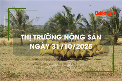 Thị trường nông sản ngày 31/10: giá gạo giảm nhẹ