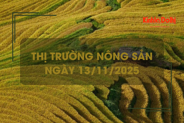 Thị trường nông sản ngày 13/11: nguồn lúa cắt còn lại ít, nhu cầu mua yếu, giá vững