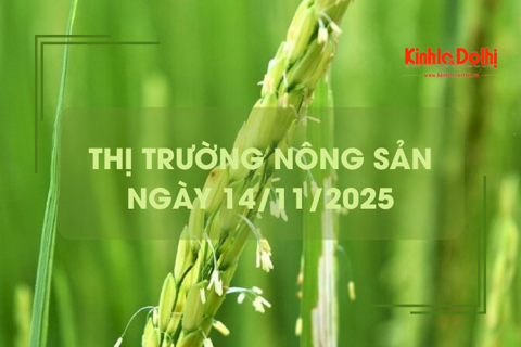 Thị trường nông sản ngày 14/11: giá gạo tăng giảm trái chiều