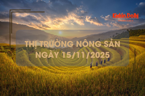 Thị trường nông sản ngày 15/11: giá lúa gạo ít biến động