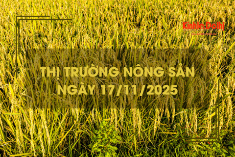 Thị trường nông sản ngày 17/11: giá gạo xuất khẩu tháng 10 giảm mạnh