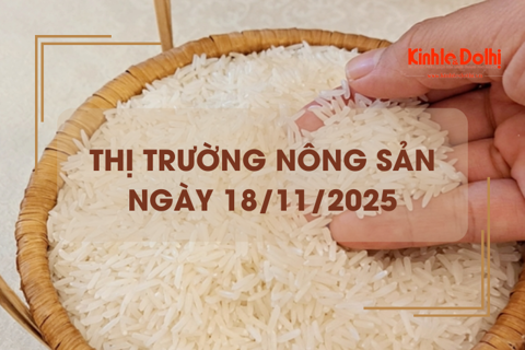 Thị trường nông sản ngày 18/11: lúa tươi cuối đồng còn ít

