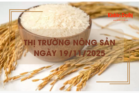 Thị trường nông sản ngày 19/11: nguồn cắt lúa cuối đồng còn ít