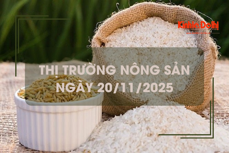 Thị trường nông sản ngày 20/11: giao dịch mua bán lai rai, giá vững
