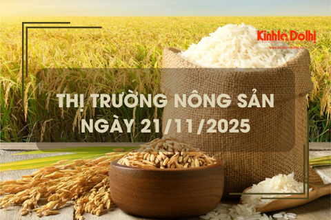 Thị trường nông sản ngày 21/11: giá lúa ít biến động