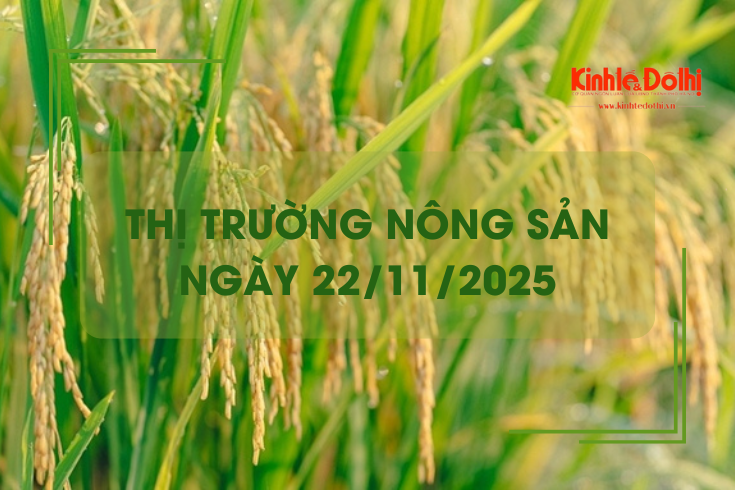 Thị trường nông sản ngày 22/11: gạo xuất khẩu biến động
