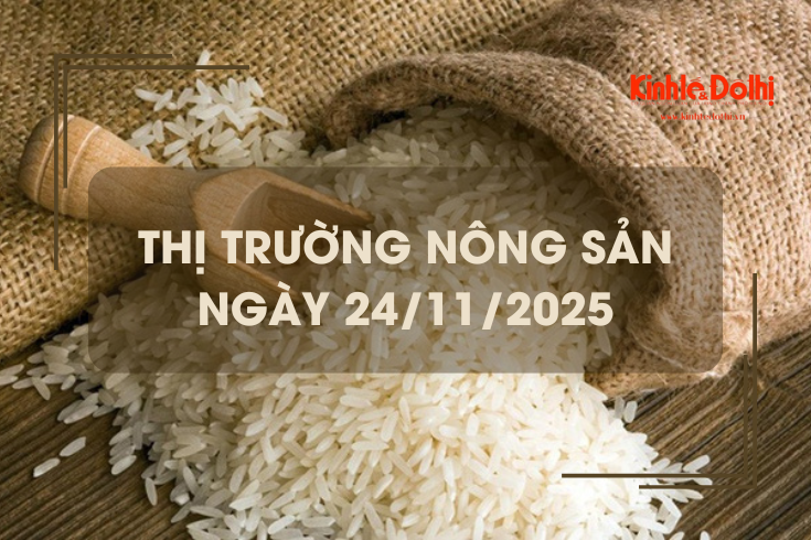 Thị trường nông sản ngày 24/11: gạo Nàng Nhen cao nhất 28.000 đồng/kg